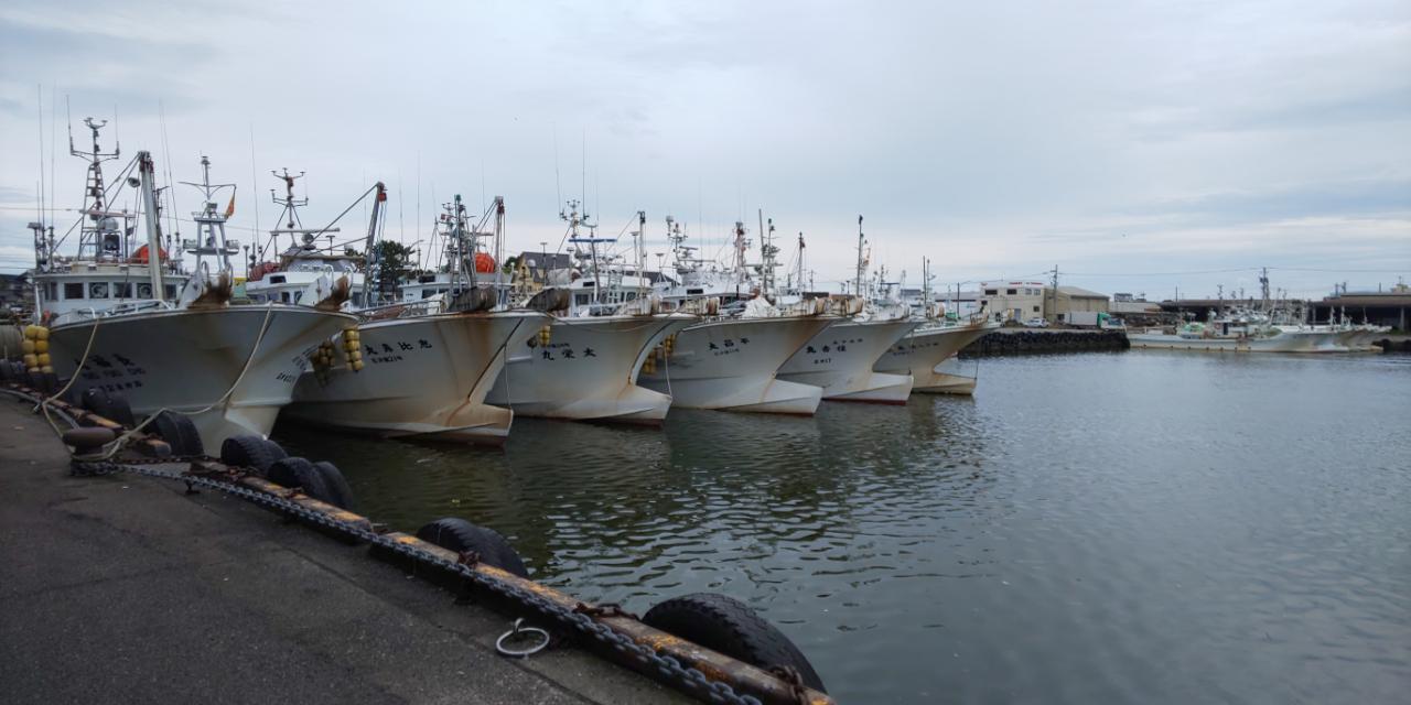 金沢の港 ～国際クルーズ船と漁獲物～
