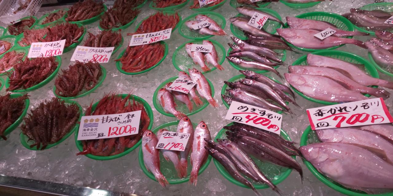 金沢港いきいき魚市で見かけた地魚