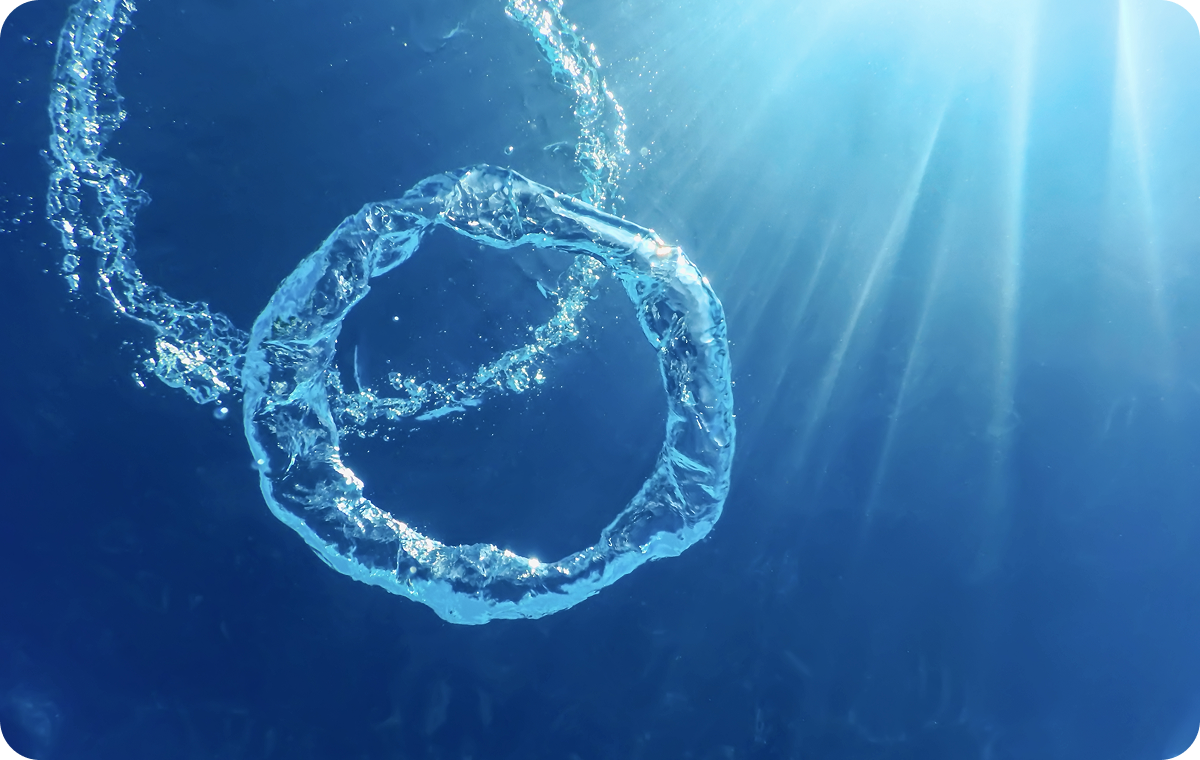 海と社会をつなぐネットワークづくり