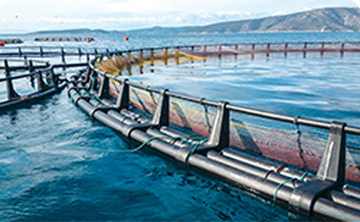 プロジェクト画像