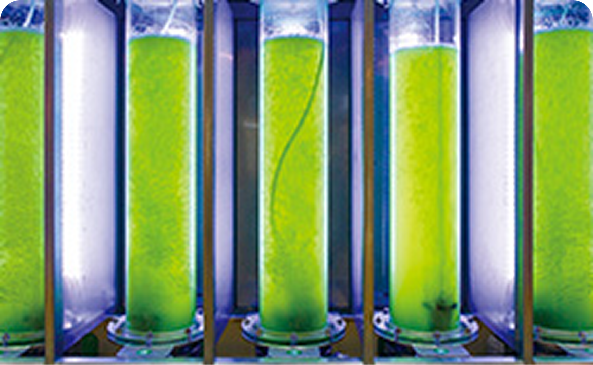 プロジェクト画像